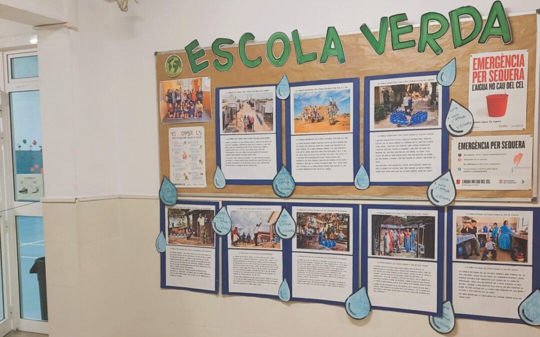 Entitats sostenibles i saludables