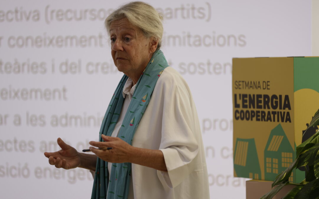 Projectes d’articulació sectorial